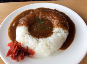 2016-04-05 12.03.13 Food Biwa Curry Tomiura